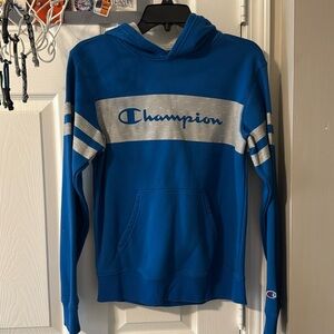 Champion Striped Blue Hoodie